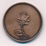 Józsa Gábor (1955-) DN 'KIOSZ - Emlékül a Kiosz Csongrád megyei vezetősége' kétoldalas bronz emlékérem (42mm) T:1- - Image 2