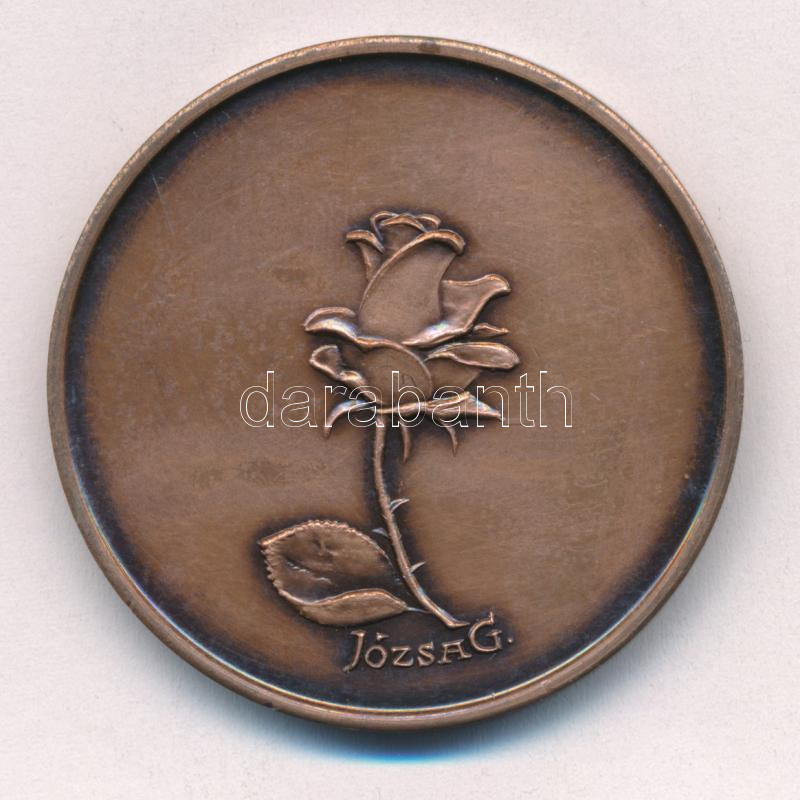 Józsa Gábor (1955-) DN 'KIOSZ - Emlékül a Kiosz Csongrád megyei vezetősége' kétoldalas bronz emlékérem (42mm) T:1- - Image 2