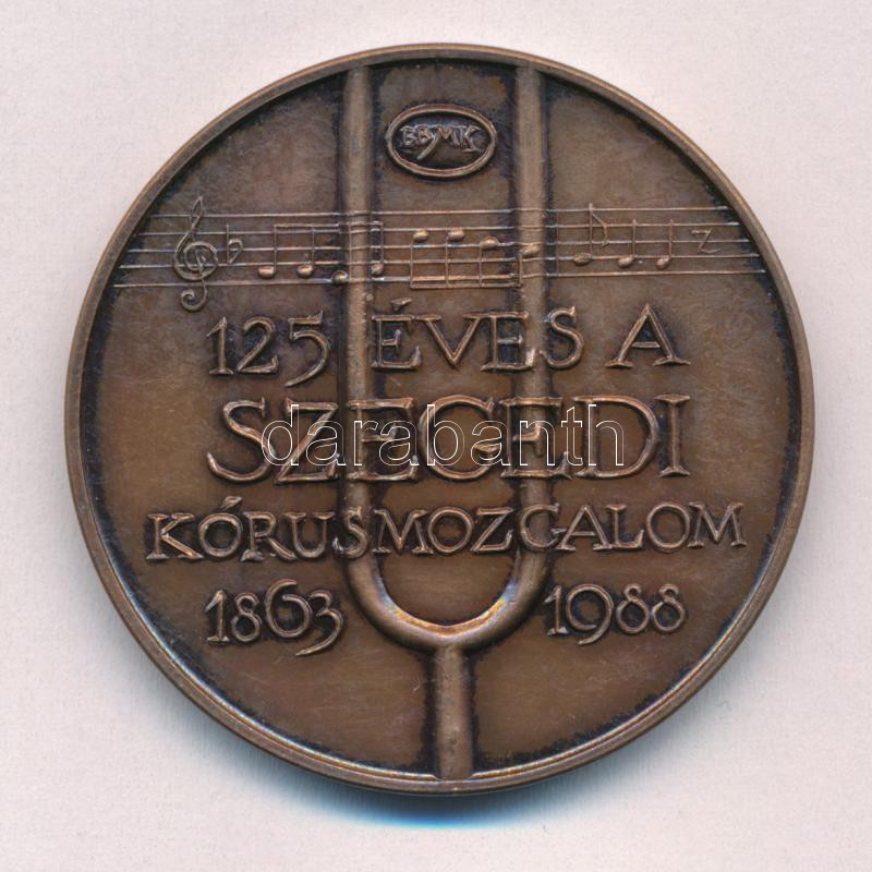 Lapis András (1942-) 1988. '125 éves a Szegedi Kórusmozgalom' kétoldalas bronz emlékérem (42mm) T:1-