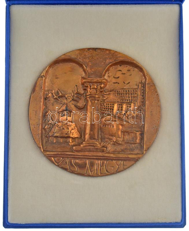 ~1990. 'Vas megye' részletgazdag egyoldalas bronz emlékérem tokjában (115mm) T:1-