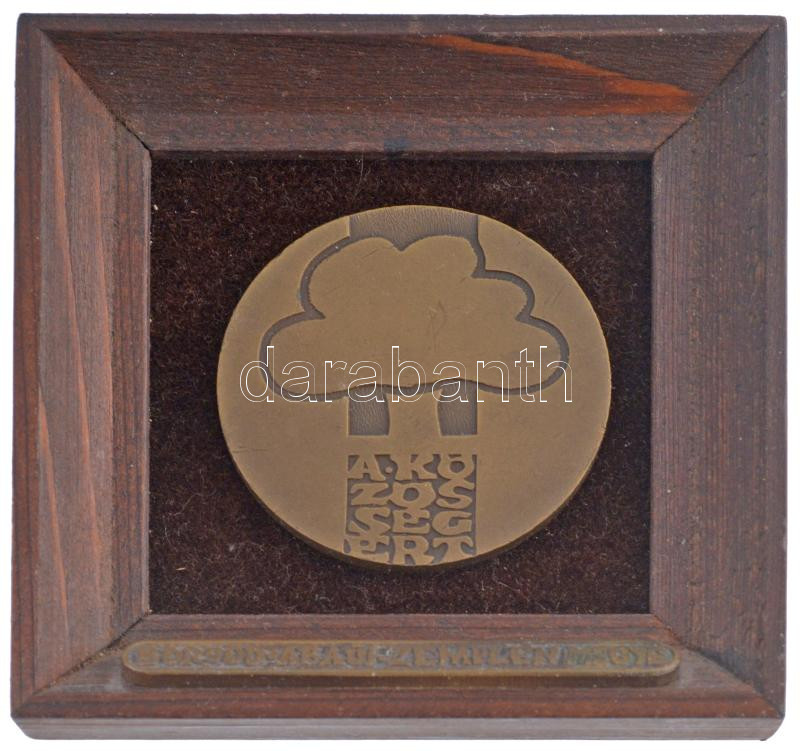 DN 'Borsod-Abaúj-Zemplén Megye - A Közösségért' keretezett bronz plakett (60mm) T:1-