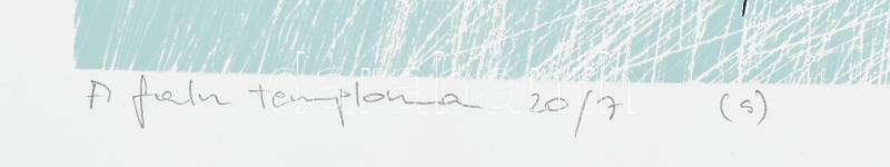 Ghyczy György (1953-): Vízivilág. Szitanyomat, papír, jelzett. 20/7 számozással. 46×60 cm - Image 2