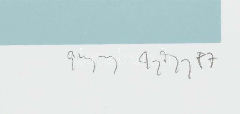 Ghyczy György (1953-): Vízivilág. Szitanyomat, papír, jelzett. 20/7 számozással. 46×60 cm - Image 3