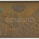 1962. 'Barátság Nemzetközi Kőolajvezeték 1962' kétoldalas bronz plakett (78x136mm) T:1- patina - Image 2