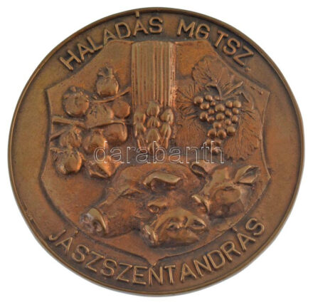~1970-1980. 'Haladás MG TSZ. Jászszentandrás' egyoldalas bronz emlékérem, hátoldalán 'Emlékül az MG. TSZ. vezetőségétől' (115mm) T:1-
