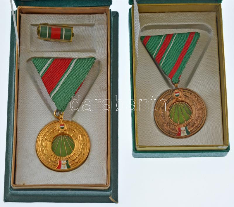 ~1970. 'Vám- és Pénzügyőrségi Szolgálati Érem arany és bronz fokozat' (2xklf) műgyantás fém kitüntetés mellszalagon, az egyik szalagsávval, eredeti tokokban T:1-