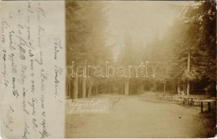 1900 Felsőróna, Horná Roven (Selmecbánya, Banská Stiavnica); park. photo (kis szakadás / small tear)
