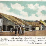 1900 Lippa, Lipova; utca, üzletek / street, shops. Gregor Fischer (EK)
