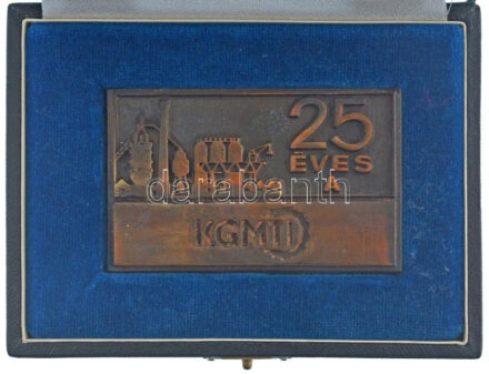 1969. '25 éves a KGMTI (Kohó- és Gépipari Minisztérium Tervező Irodái)' bronz plakett eredeti tokban (50x80mm) T:1- patina