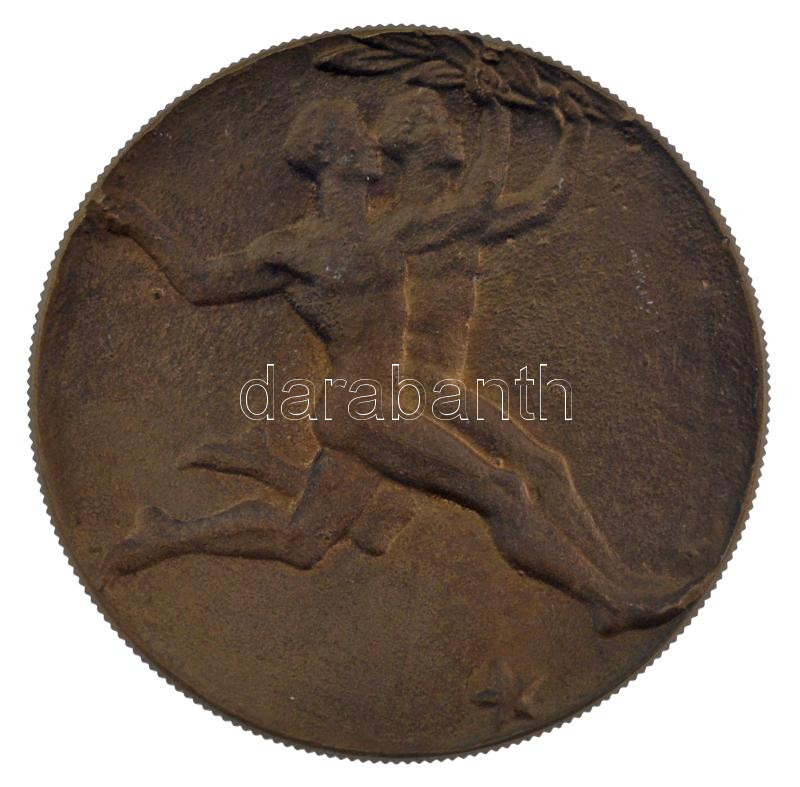 DN Eredményes Munkásságáért' kétoldalas bronz emlékérem (65mm) T:1-