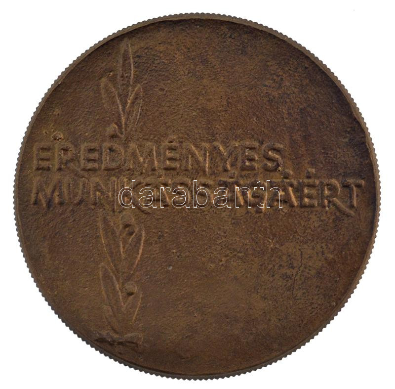 DN Eredményes Munkásságáért' kétoldalas bronz emlékérem (65mm) T:1- - Image 2