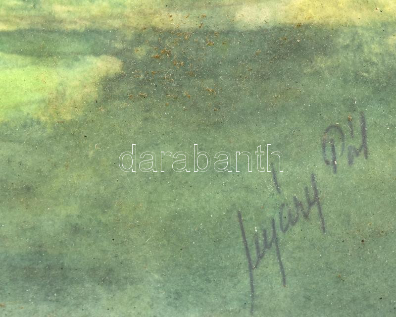 Nyáregyházi báró Nyáry Pál (?-?): Erdőrészlet. Akvarell, papír. Jelzett. Üvegezett, kissé sérült fakeretben, 32×46,5 cm - Image 2