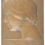 DN 'Balra néző női portré' egyoldalas bronz emlékplakett, hátoldalán rögzítőponttal (135x92mm) T:1- patina