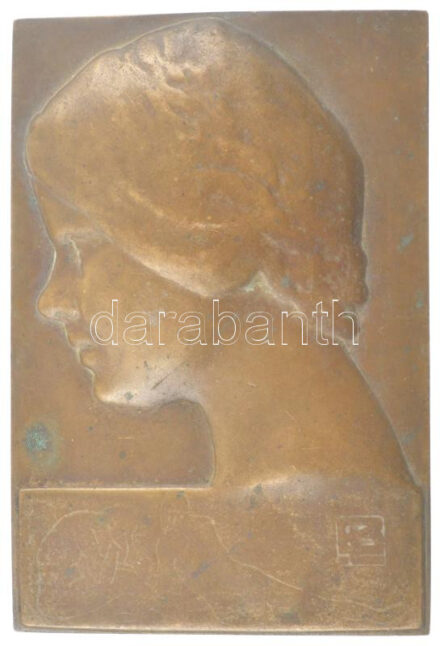 DN 'Balra néző női portré' egyoldalas bronz emlékplakett, hátoldalán rögzítőponttal (135x92mm) T:1- patina