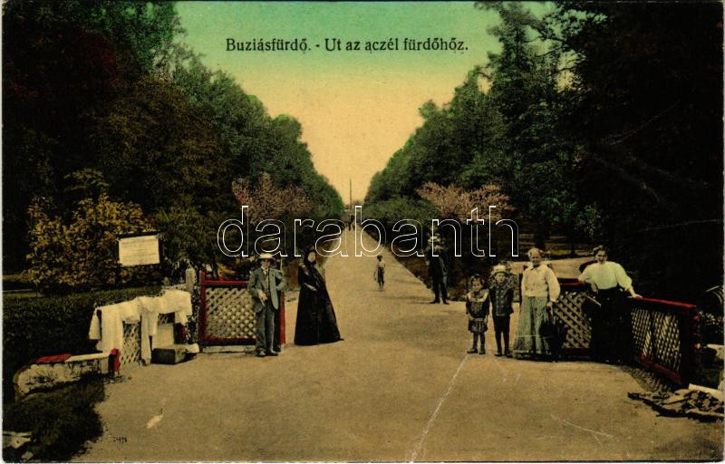 Buziás-fürdő, Baile Buzias; út az Aczélfürdőhöz / spa, road to the bath (fa)