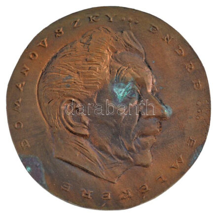 Soltra Elemér (1922-2013) 1985. 'Domanovszky Endre emlékére' kétoldalas öntött bronz plakett T:1- korrózió