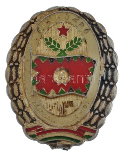 DN 'Élenjáró Zászlóparancsnok' zománcozott sapkajelvény (40x32mm) T:2 zománchiba