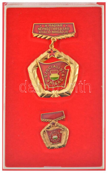 ~1970. 'A Magyar Népköztársaság Kiváló Brigádja - Szocialista Brigád' aranyozott, műgyantás jelvény miniatűrrel, eredeti tokban T:1-