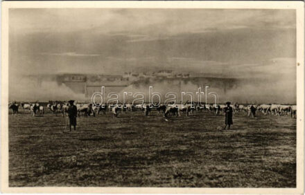 Hortobágy, Délibáb