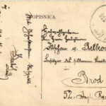 1912 Zsupanya, Zupanja; utca, üzlet. W.L. Bp. 6592. / street, shop (Rb) - Image 2