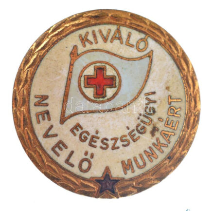 ~1950-1960.'Kiváló Egészségügyi Nevelő Munkáért' aranyozott, zománcozott fém jelvény T:2