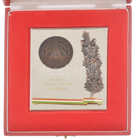 ~1970-1980. 'Zalka Máté Katonai Műszaki Főiskola - Emlékül Angyal István alezredes' részben műgyantás bronz emlékérem tokban (103x90mm) T:2 rátét ragasztása elengedett