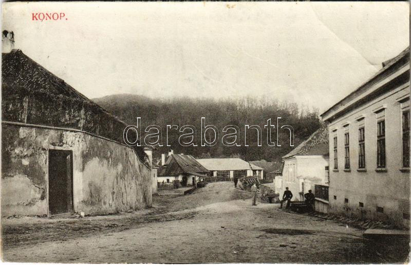 Konop, Conop; utca, házak / street view, road, houses (r)