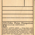 Siklód, Siclod; Székely legény / Transylvanian folklore art postcard. Orbis Pictus Hungaricus. 10. s: Horváth Jenő (fa) - Image 2