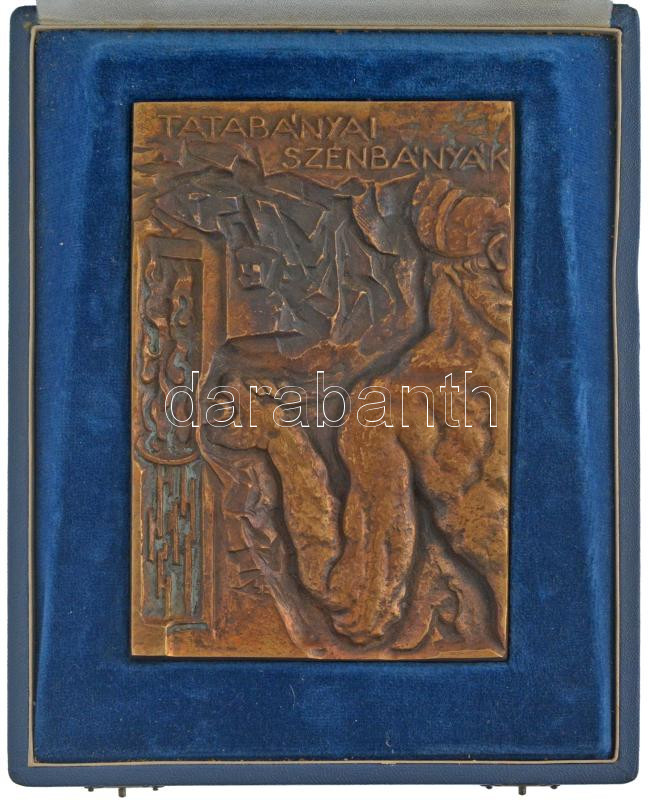 ~1970-1980. 'Tatabányai szénbányák' egyoldalas bronz emlékplakett tokjában (145x95mm) T:1-