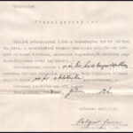 1914 Rákospalota, a cs. és kir. haditengerészethez való felvételi kérelem - Image 2
