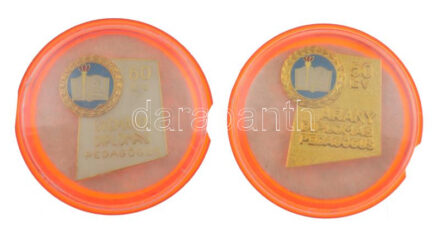 ~1970. '50 év - Aranydiplomás pedagógus' aranyozott, műgyantás jelvény műanyag tokban + '60 év - Gyémántdiplomás pedagógus' aranyozott, műgyantás jelvény műanyag tokban T:vegyes