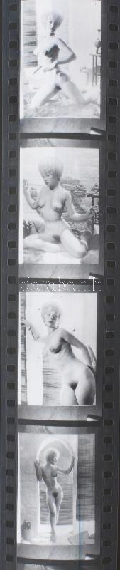 Női akt repró fotónegatívok, 6 tekercs