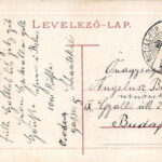 1911 Buziásfürdő, Baile Buzias; gyógykert. W.L. Bp. 2044. / spa garden (EK) - Image 2