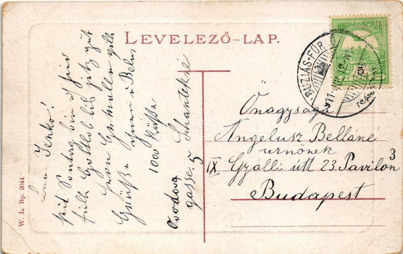 1911 Buziásfürdő, Baile Buzias; gyógykert. W.L. Bp. 2044. / spa garden (EK) - Image 2