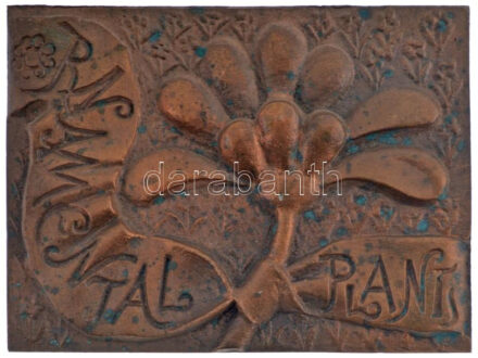 Rajki László (1939- ) 1992. 'Ornamental Plants / Association of Hungarian Growers and Traders - Exhibit and Fair Budapest 1992' kétoldalas öntött bronz (73x97mm) T:1-,2 kis patina