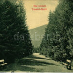 Tusnád-fürdő, Baile Tusnad; Régi országút. Brunner Lajos kiadása / old road