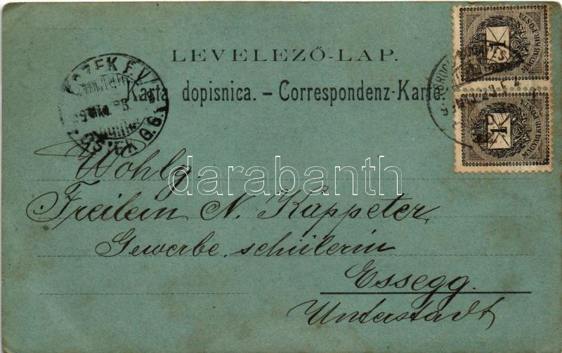 1899 (Vorläufer) Dálya, Dalja, Dalj (Erdőd, Erdut); Eisenbahn-Traject zwischen Erdőd und Gombos / Vasúti híd Erdőd és Gombos között. Ottokar Rechnitzer No. 57. / railway bridge between Erdut and Bogojevo (EK) - Image 2