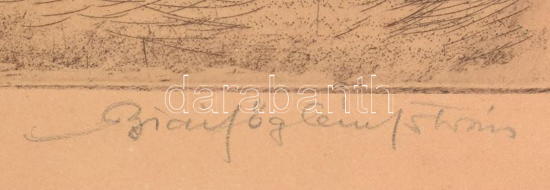 Biai-Föglein István (1905-1974): Virágok. Színezett rézkarc, papír, jelzett, lap széle kissé foltos, 37,5×29 cm - Image 2