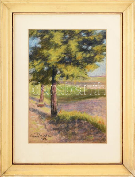 Csapó Márton (1889-?): Napfényes táj, 1924. Pasztell, papír, jelzett. 43x29 cm. Üvegezett fakeretben.