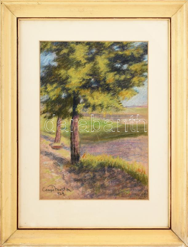 Csapó Márton (1889-?): Napfényes táj, 1924. Pasztell, papír, jelzett. 43x29 cm. Üvegezett fakeretben.