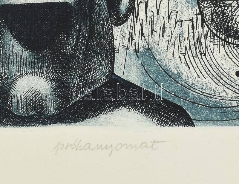 Zsigovics Iván (1958- ): A hosszú fülűek legendája. Színezett rézkarc, papír, jelzett, 29x45 cm - Image 3