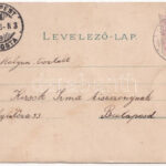1899 (Vorläufer) Zsombolya, Hatzfeld, Jimbolia; Gróf Csekonics Csitó kastélya, Park. Manzin és Ferch kiadása / castle, park. Art Nouveau, floral, litho (b) - Image 2