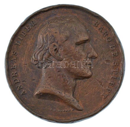 Ausztria 1834. 'Andreas Liber báró orvostudományban elért sikereinek 50. évfordulójára' kétoldalas bronz emlékérem. 'ANDREAS LIBER BARO DE STIFFT - I. D. BOEHM. F. / LAVREAM SEMISECVLAREM CELEBRAT ORDO MEDICORVM VINDOBONENSIVM MDCCCXXXIV