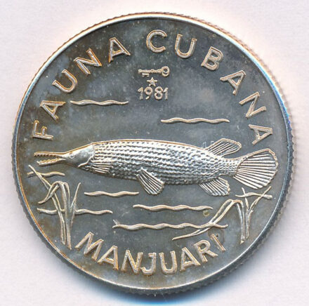 Kuba 1981. 5P Ag 'Manjuar (Aligátorhal)' T:1 patina Cuba 1981. 5 Pesos Ag 'Manjuar (Giant Gar Fish)' C:UNC patina Krause KM#84