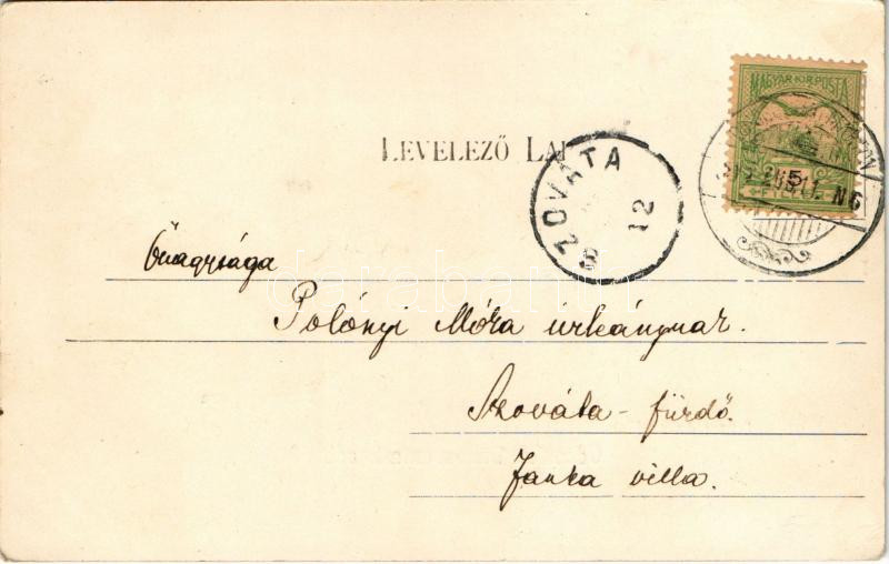 Dicsőszentmárton, Tarnaveni, Diciosanmartin; Olvasókör pavilon, vármegyeháza. Hirsch Mór kiadása / reading club's pavilion, county hall (fl) - Image 2