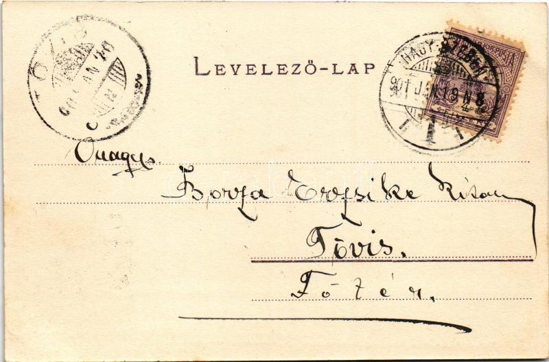 1901 Nagyszeben, Hermannstadt, Sibiu; látkép. G. A. Seraphin kiadása / general view - Image 2