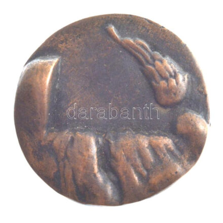 Asszonyi Tamás (1942-) 1986. 'Vigadó 1986' kétoldalas, öntött bronz emlékérem (37mm) T:1-