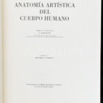 Barcsay, Jenő: Anatomía artística del cuerpo humano. Barcelona, 1982., Daimon. Spanyol nyelven. Kiadói egészvászon-kötés. - Image 2
