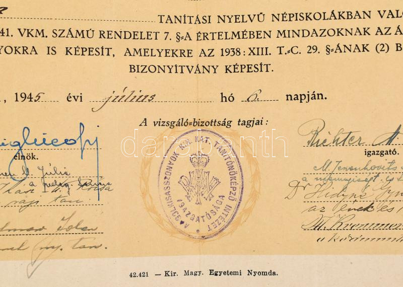 1945 Néptanítói oklevél hajtva 40x60 cm - Image 2