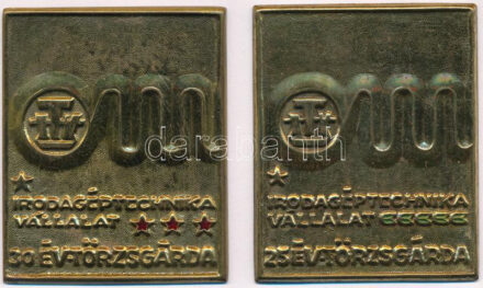 ~1970-1980. 'Irodagéptechnika Vállalat - 25 év Törzsgárda' részben festett bronz kétrészes lemezplakett (77x62mm) + 'Irodagéptechnika Vállalat - 30 év Törzsgárda' részben festett bronz kétrészes lemezplakett (77x62mm) T:1-,2